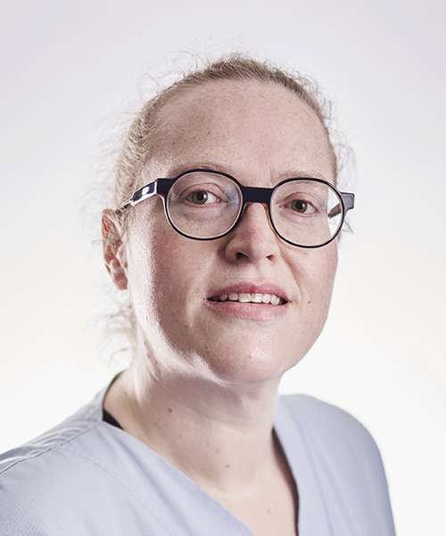 de Waele Michele